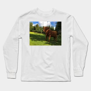 Scottish Highland Cattle Calf 1805 Long Sleeve T-Shirt